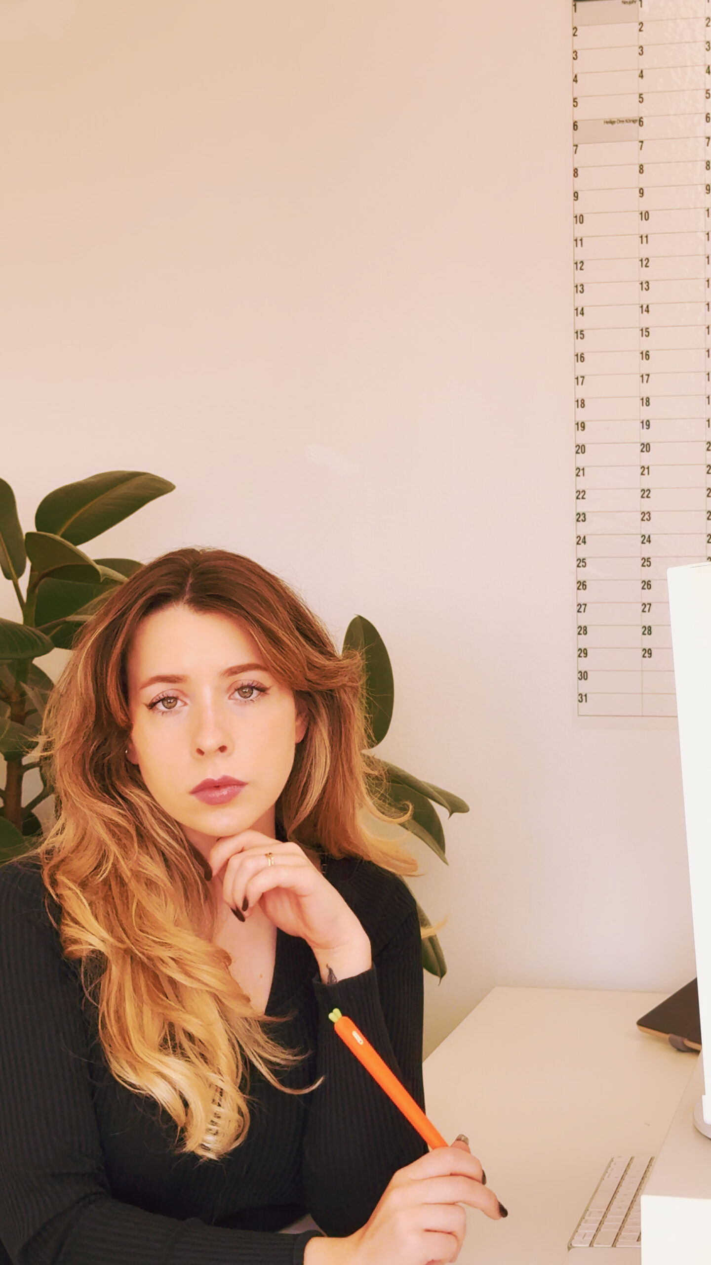 Instagram Reel Schrey Media